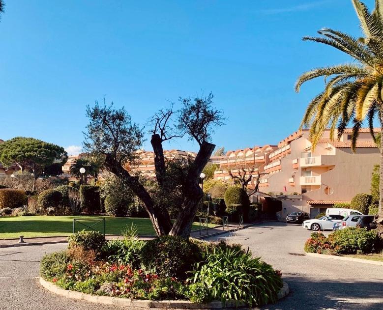 Antibes Secured Parc Velusine With Private Parking, Terrace, Pools And Tennis Courts. Екстериор снимка