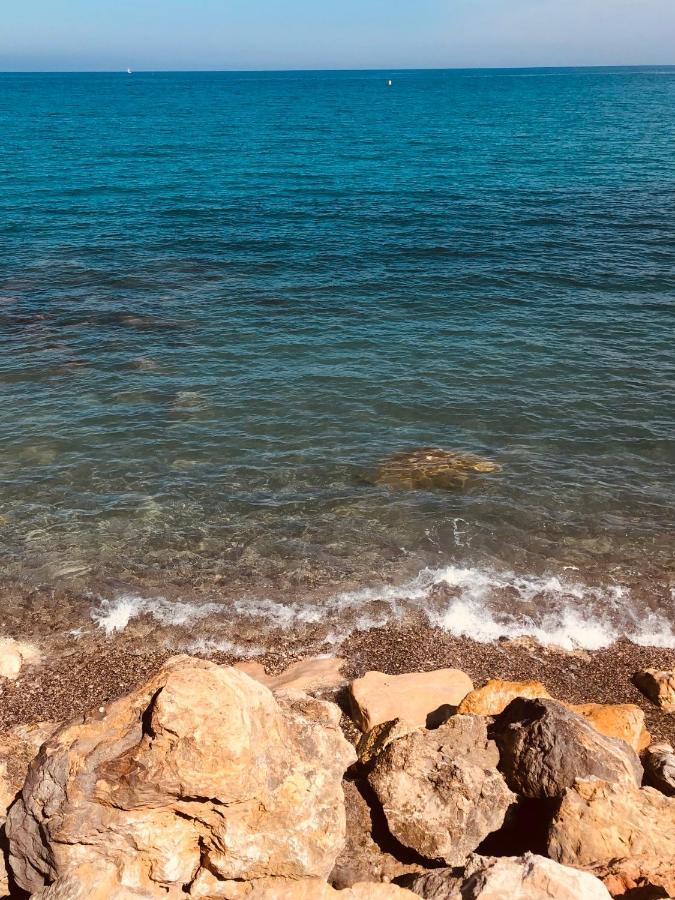 Antibes Secured Parc Velusine With Private Parking, Terrace, Pools And Tennis Courts. Екстериор снимка