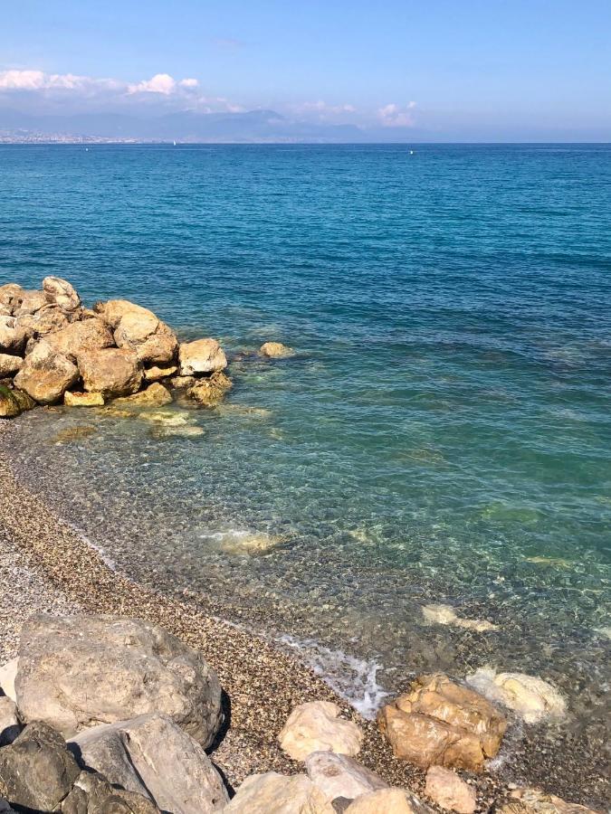 Antibes Secured Parc Velusine With Private Parking, Terrace, Pools And Tennis Courts. Екстериор снимка