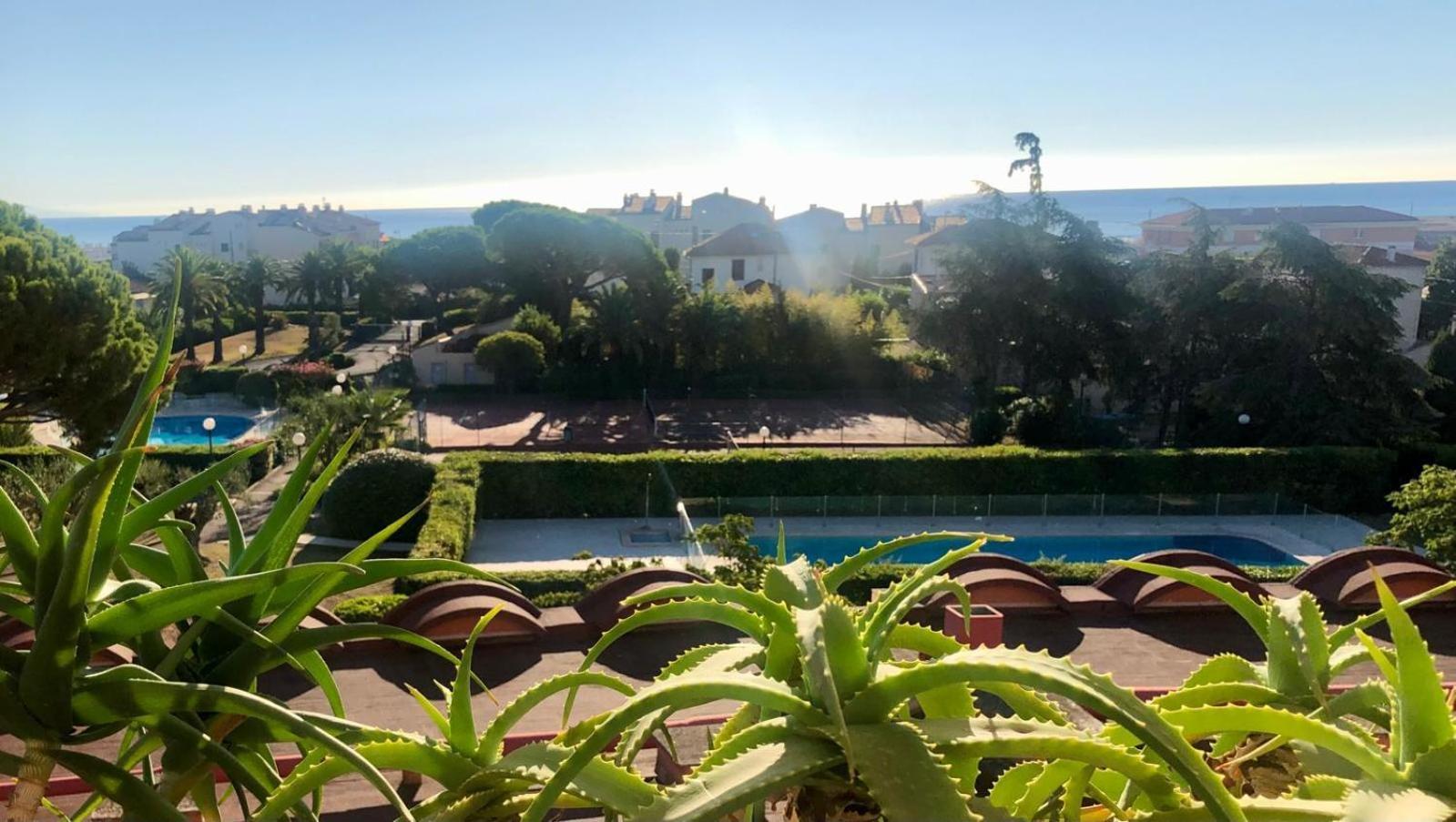 Antibes Secured Parc Velusine With Private Parking, Terrace, Pools And Tennis Courts. Екстериор снимка